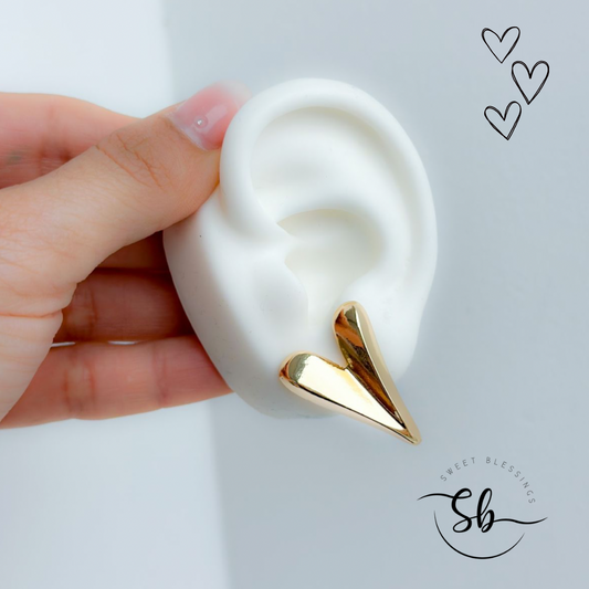 Earrings Love Your self